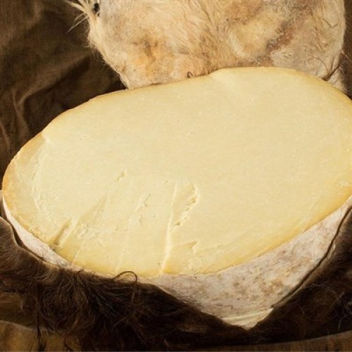 Korkuteli Süt Yağlı Deri İnek Tulum Peyniri (kg)